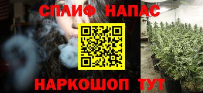 спиды Дубна
