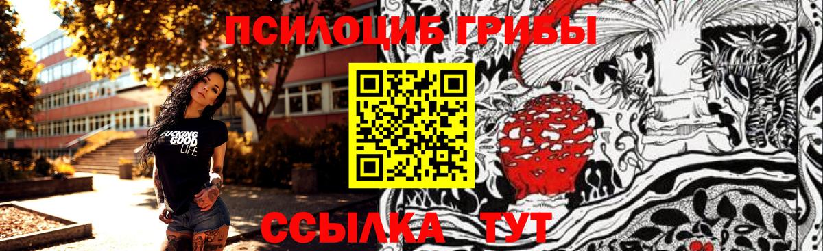 Псилоцибиновые грибы Cubensis Магадан