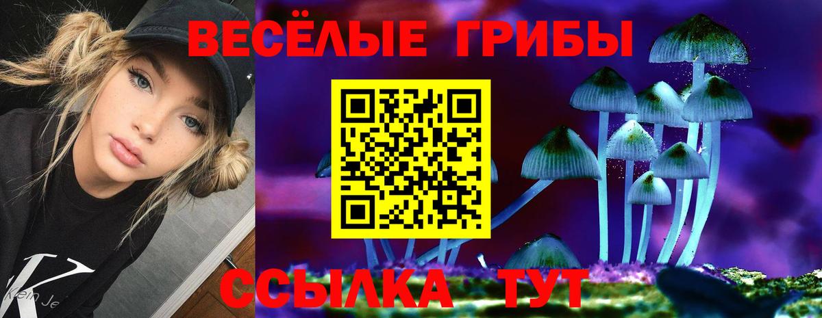 Магадан  Галлюциногенные грибы мухоморы  Галлюциногенные грибы мицелий  Вход с VPN 